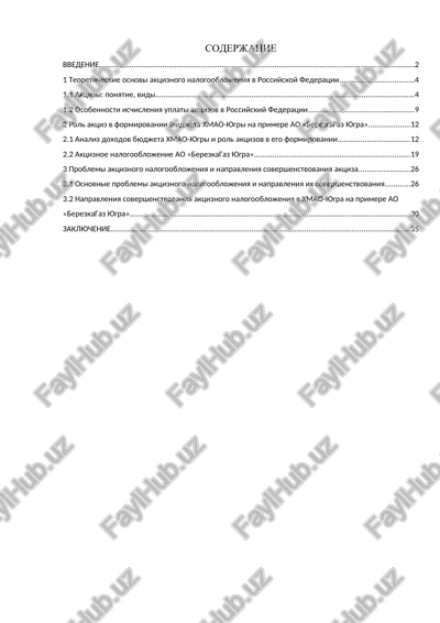 aktsiznoe nalogooblojenie v rossiyskoy federatsii — DOCX