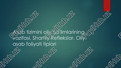 asab tizimini oliy bo'limlarining vazifasi — PPTX