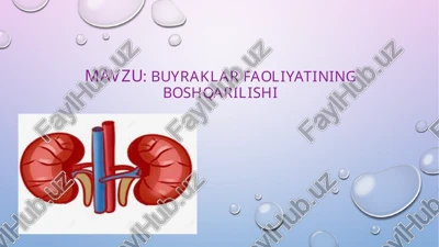 buyraklar faoliyatining boshqarilishi — PPTX