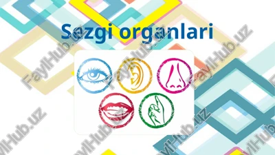 sezgi organlari — PPTX