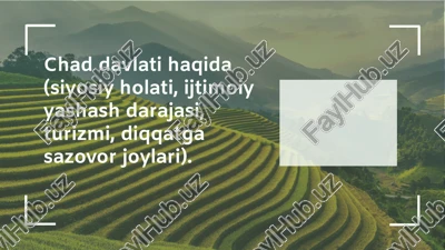 chad davlati siyosiy holati va tuzilishi — PPTX