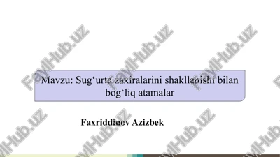 sug‘urta zaxiralarini shakllanishi bilan bog‘liq atamalar slayd — PPTX
