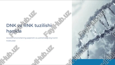 dnk va rnk tuzilishi haqida — PDF