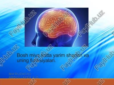 bosh miya qachon katta bo'ladi — PPTX