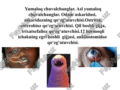 yumaloq chuvalchanglar — PPTX