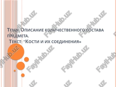 opisanie kolichestvennogo sostava predmeta — PPTX