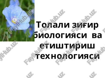 tolali zig'ir biologiyasi va etishtirishtexnologiyasi — PPTX
