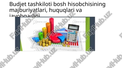 budjet tashkiloti bosh hisobchisining majburiyatlari, huquqlari va javobgarligi — PPTX