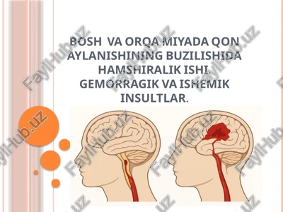 bosh va orqa miyaning qon aylanishining buzilishi — PPTX