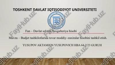 davlat sektori buxgalteriyasi — PPTX