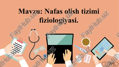 nafasolishtizimifiziologiyasi — PPTX
