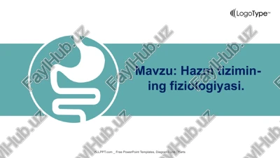 ovqat hazm bo'lish fiziologiyasi — PPTX