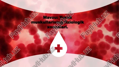 yurakmuskullariningfiziologikxossalari — PPTX