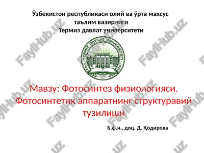 fotosintezfiziologiyasi — PPTX