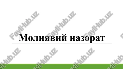 moliyaviy nazorat — PPTX