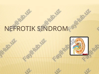 nefrotik sindrom — PPTX
