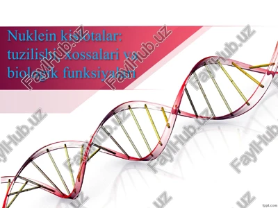 nuklein kislotalar — PPTX