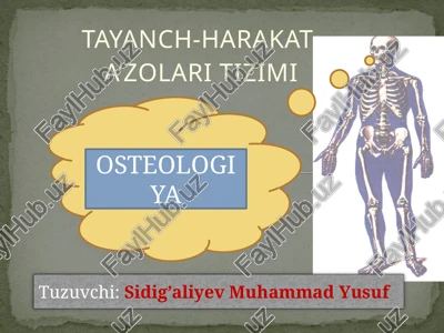tayanch-harakat — PPTX