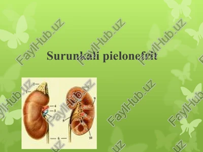 surunkali pielonefrit — PPTX