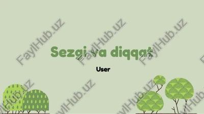 sezgi va diqqat — PPTX