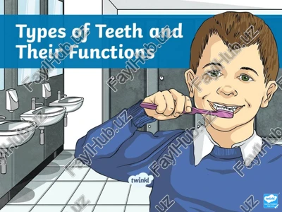 incisors — PPTX