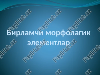 birlamchimorfolagikelementlar — PPTX