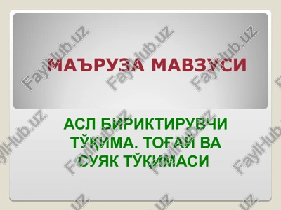 asl biriktiruvchi to'qima. tog'ay va suyak to'qimasi — PPT