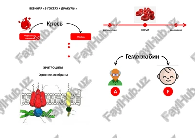 vebinar «v gostyax u drakuli» — PDF