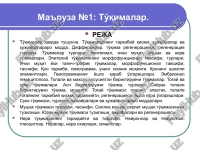 to'qimalar — PPTX