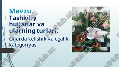 tashkiliy hujjatlar va ularning turlari — PPTX