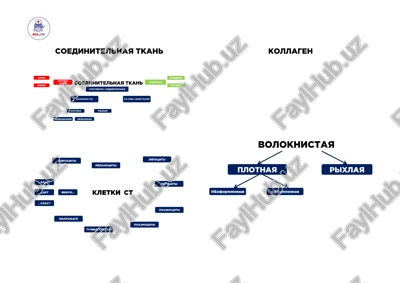 kostnaya tkan — PDF