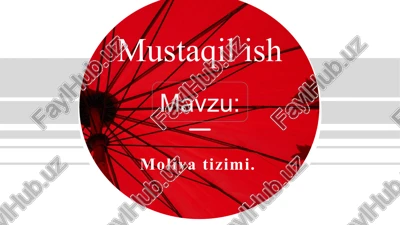 moliyatizimi — PPTX
