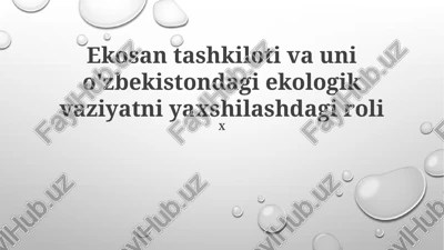 ekosan tashkiloti va uni o'zbekistondagi ekologik vaziyatni yaxshilashdagi roli — PPTX