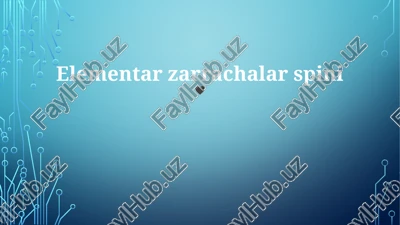elementar zarrachalar spinı — PPTX