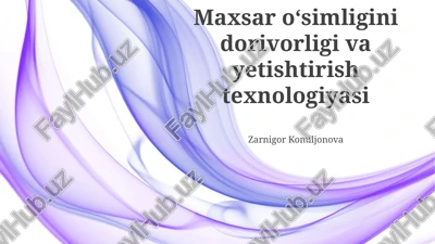 maxsar o‘simligini dorivorligi va yetishtirish texnologiyasi — PPTX