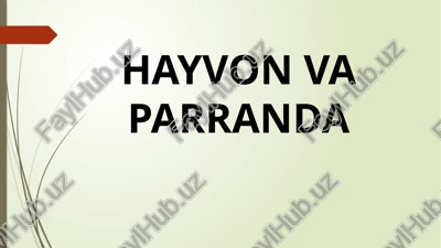 parranda grippi — PPTX