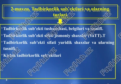 tadbirkorlik faoliyati — PPT