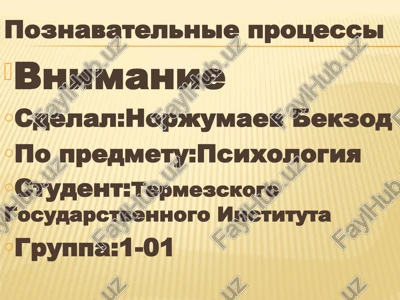 poznavatelnie protsessi — PPT