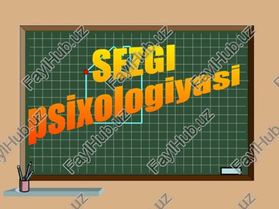 sezgi — PPTX