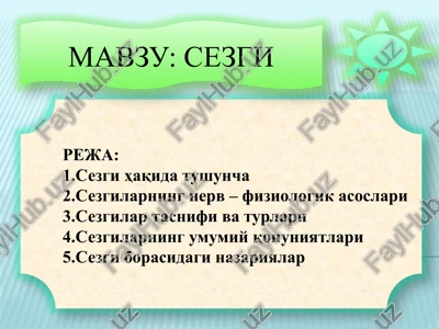 sezgi — PPTX