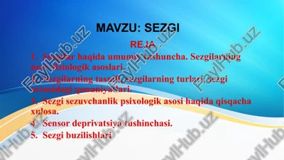 sezgilarning nerv-fiziologik asoslari — PPTX