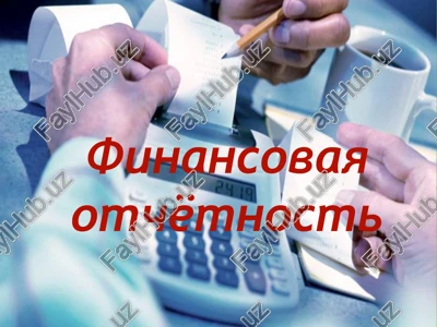 finansovaya otchyotnost — PPTX