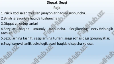 sezgi — PPTX