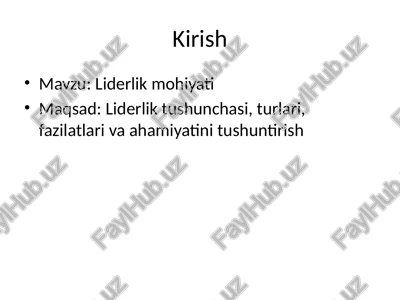 liderlik — PPTX