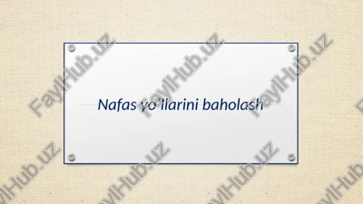 nafas yo‘llari — PPTX