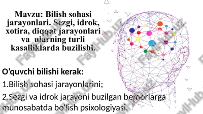 bilish sohasi jarayonlari — PPTX