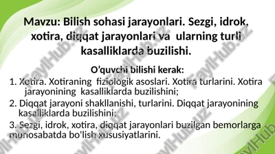 bilish sohasi jarayonlari — PPTX