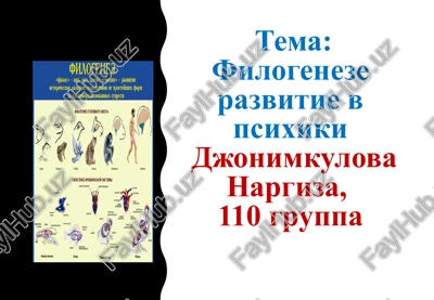 filogeneze razvitie v psixiki — PPTX
