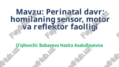 perinataldavr: homilaningsensor, motor vareflektor faolligi — PPTX