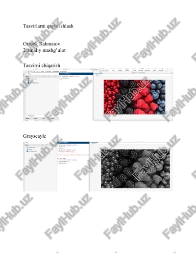 tasvirlarni qayta ishlash — DOCX